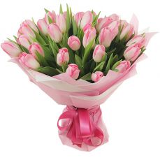 Букет 35 ніжно-рожевих тюльпанів