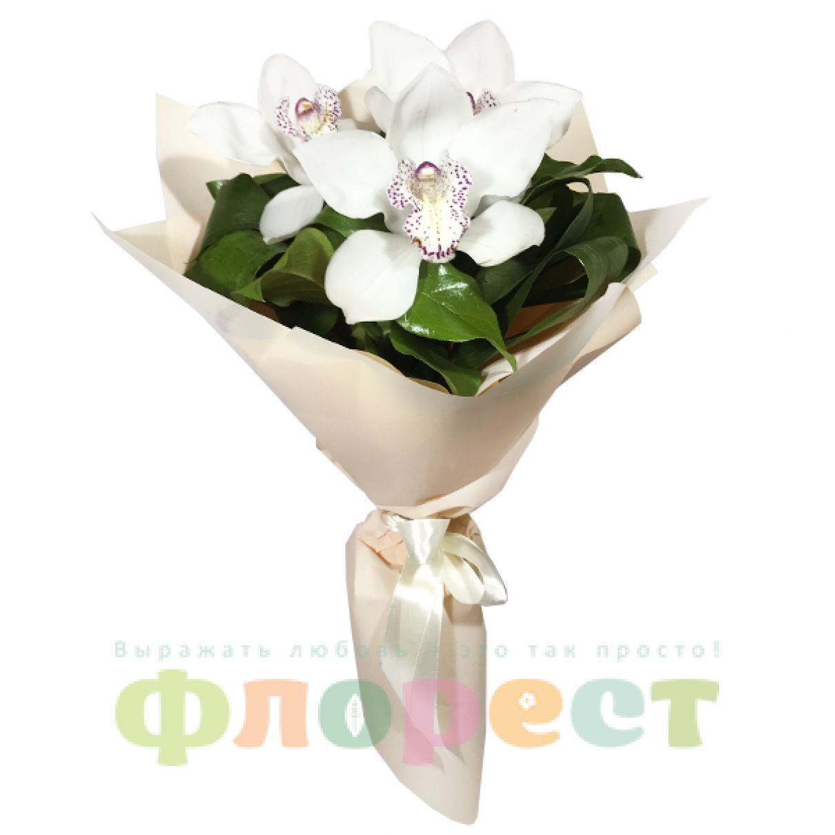 11 красных роз