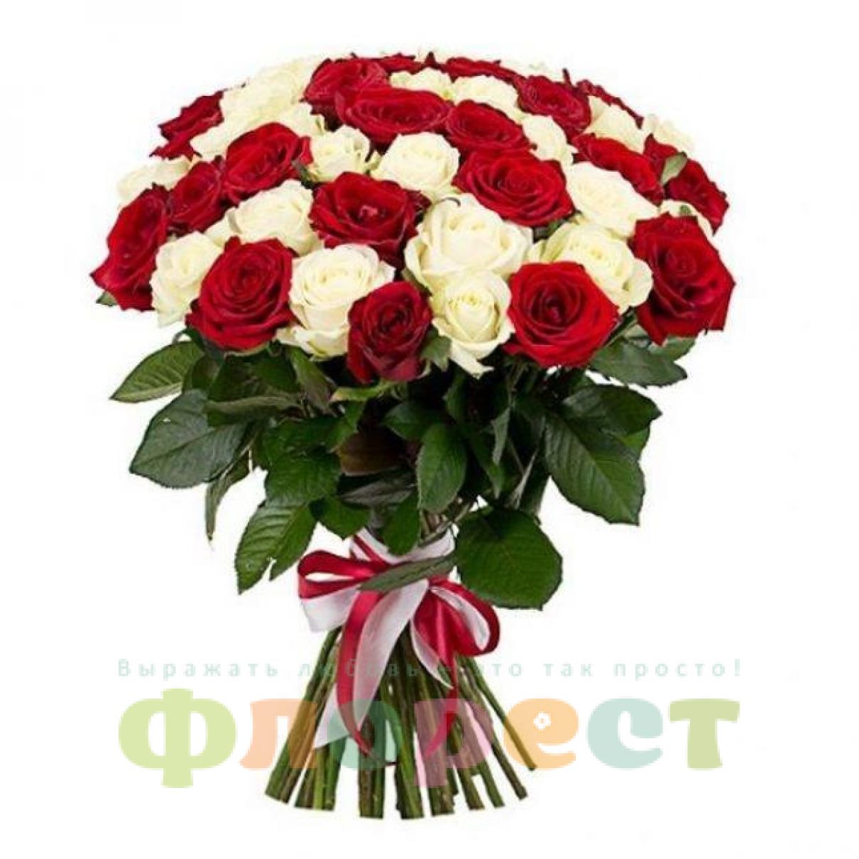 35 czerwono-białe róże