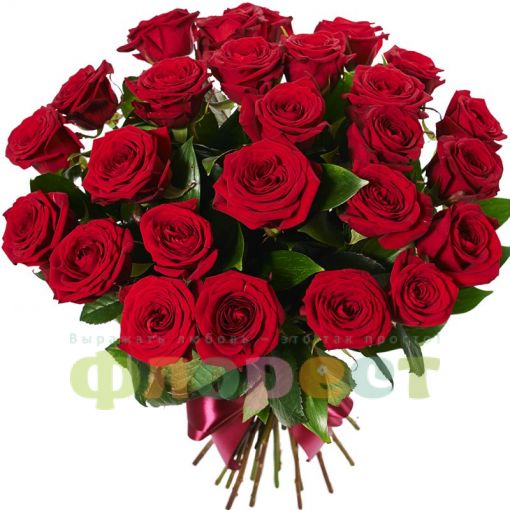 25 red roses 