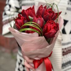 Букет 5 червоних піоновидних тюльпанів