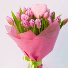 25 rose tulips