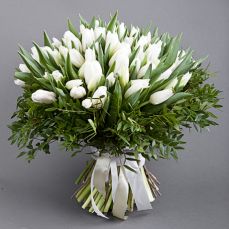 Букет 101 білий тюльпан