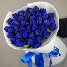 Букет 29 синіх тюльпанів